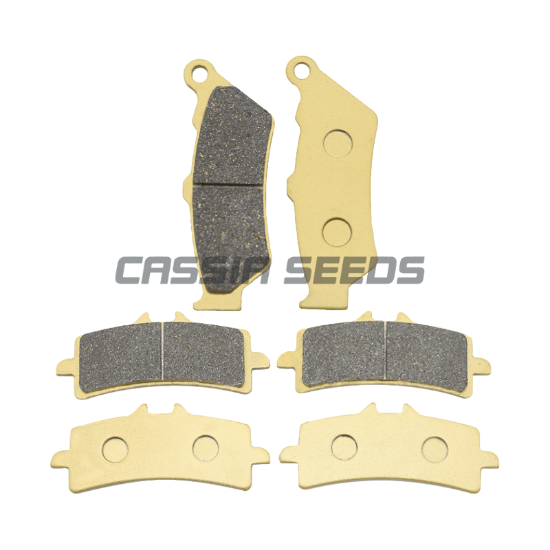Carbon Ceramic Motorcycle Brake Rotor - Pastillas de freno delanteras y traseras