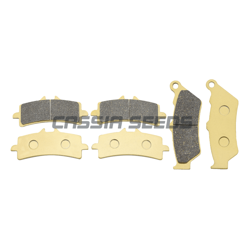 Pastillas de freno delanteras  - Carbon Ceramic Motorcycle Brake Rotor reseña y precio